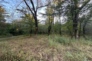 Фото №3: Земельный участок 5 сот. - Полковничий, ул. Лесная, 15