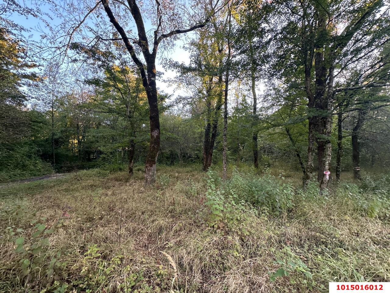 Фото №3: Земельный участок 5 сот. - Полковничий, ул. Лесная, 15