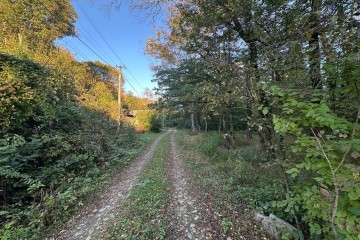 Фото №1: Участок садоводство 5 сот. - Полковничий, ул. Лесная, 15