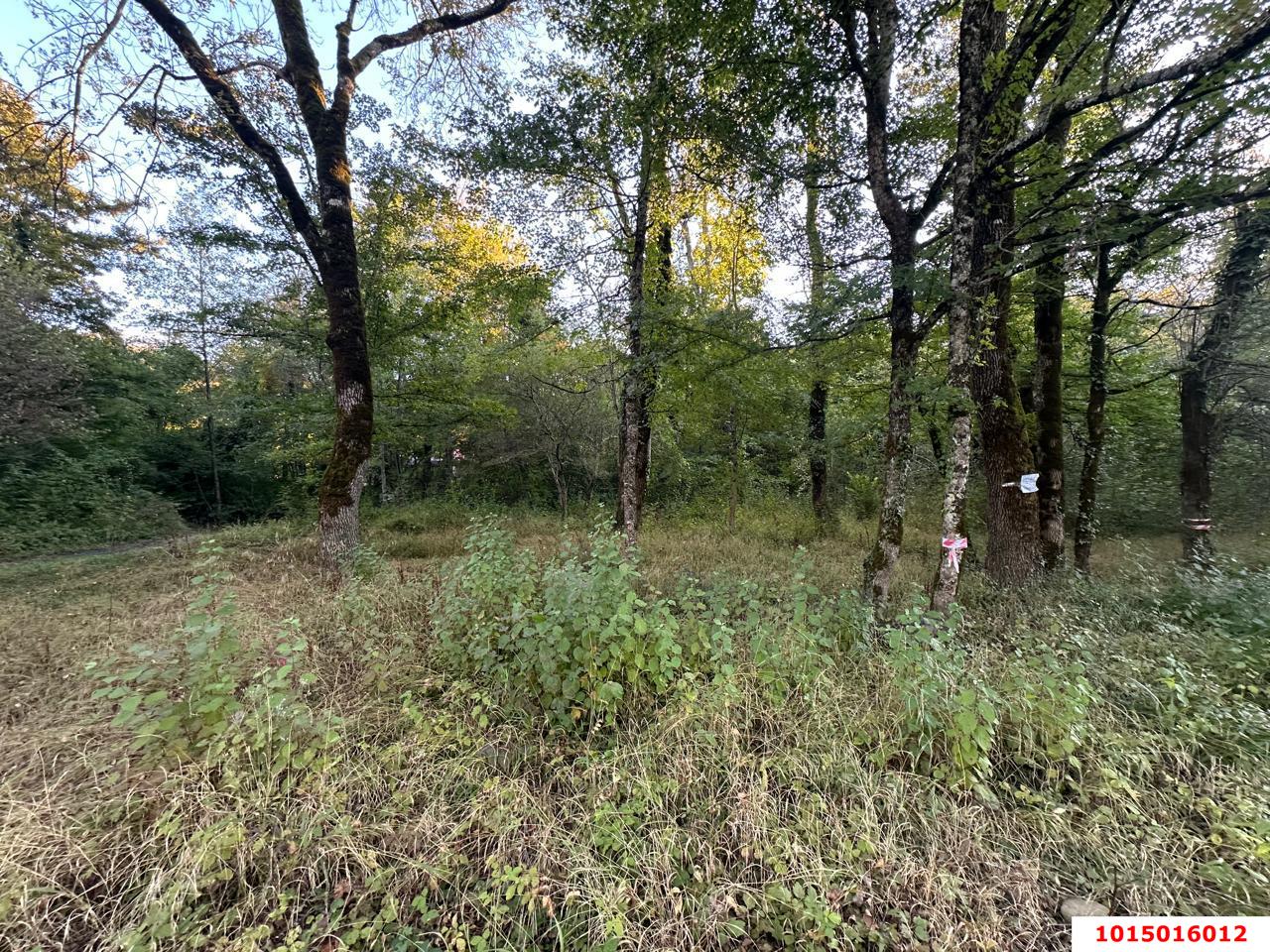 Фото №4: Земельный участок 5 сот. - Полковничий, ул. Лесная, 15