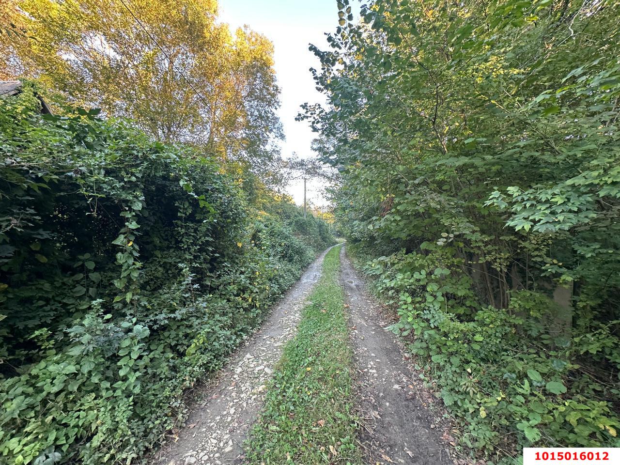 Фото №10: Земельный участок 5 сот. - Полковничий, ул. Лесная, 15