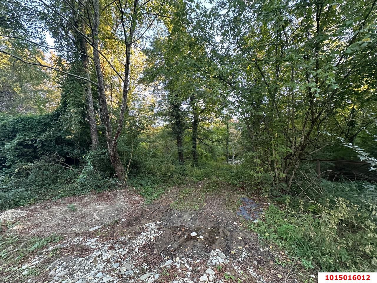 Фото №6: Земельный участок 5 сот. - Полковничий, ул. Лесная, 15