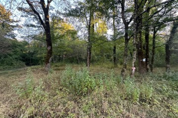 Фото №4: Участок садоводство 5 сот. - Полковничий, ул. Лесная, 15