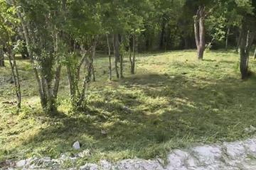 Фото №3: Земельный участок 22.08 сот. - Убинская, ул. Подгорная, 38