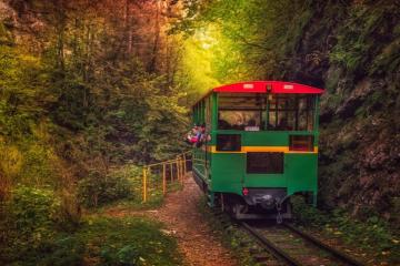 Фото №4: Земельный участок 9.55 сот. - Нижегородская, 