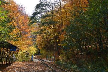 Фото №4: Земельный участок 10.46 сот. - Нижегородская, 