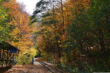 Фото №5: Земельный участок под ИЖС 12.36 сот. - Нижегородская, 