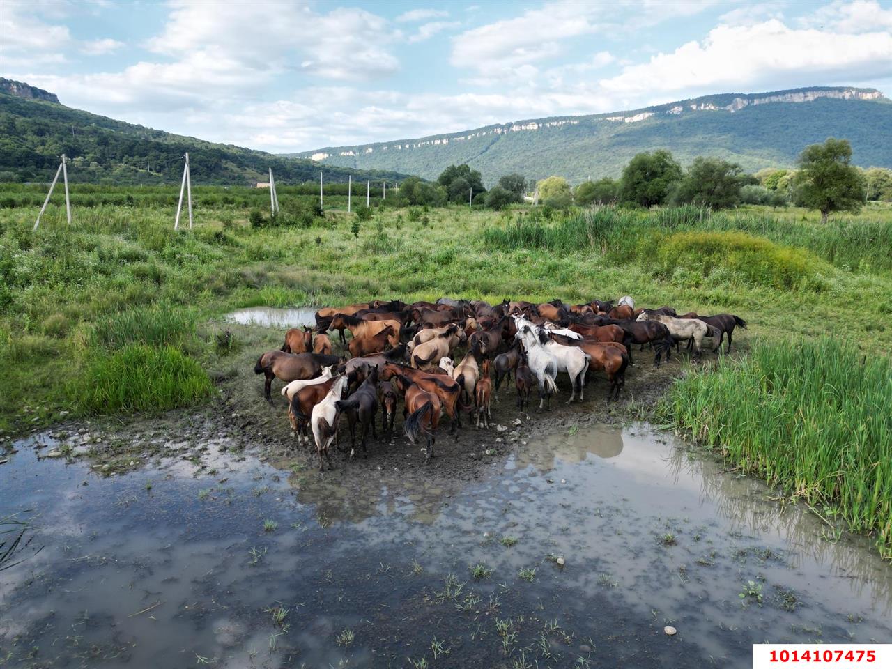 Фото №6: Коммерческая земля 12 сот. - Республика Адыгея (Адыгея) Майкопский район