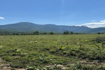 Фото №1: Коммерция 10 м² - Республика Адыгея (Адыгея) Майкопский район