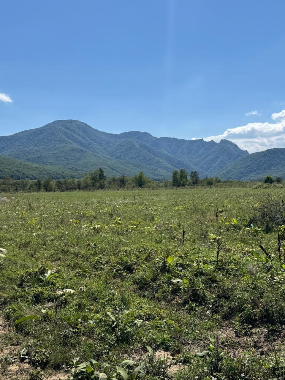 Фото №1: Коммерция 10 м² - Республика Адыгея (Адыгея) Майкопский район