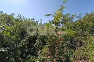 Фото №4: Земельный участок под ИЖС - Мариуполь, р. Жовтневый, ул. Котовского, 157
