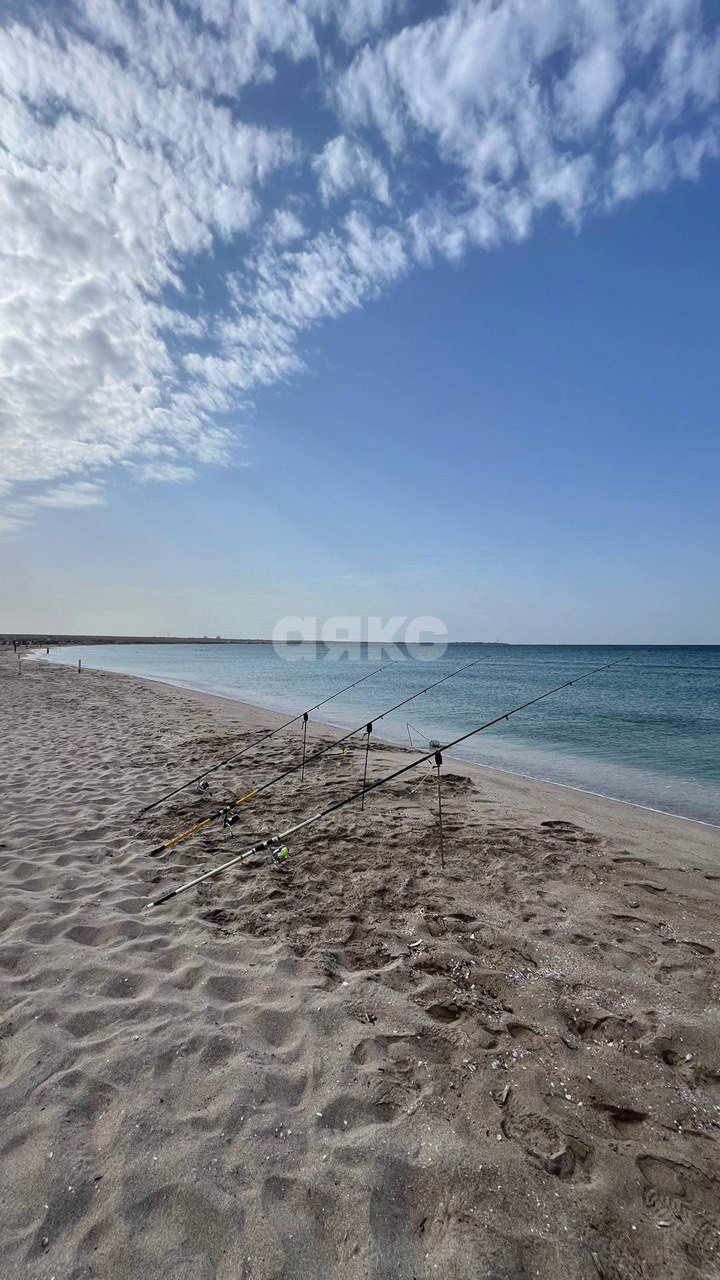 Фото №2: Земельный участок под ИЖС 6 сот. - Окунёвка