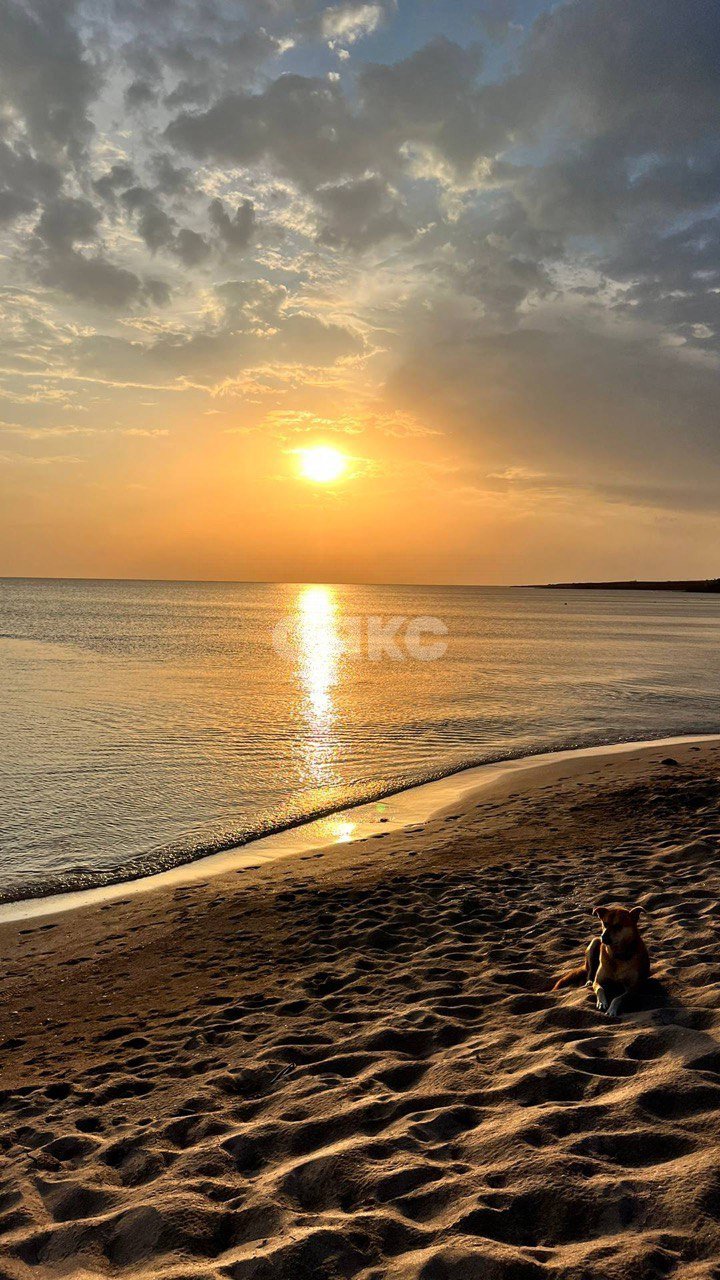 Фото №1: Земельный участок под ИЖС 6 сот. - Окунёвка