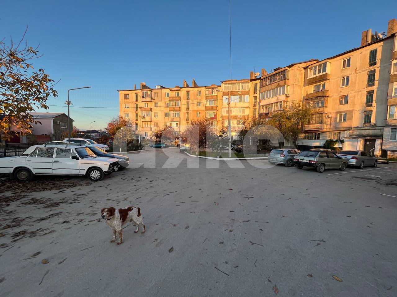 Фото №17: 1-комнатная квартира 36 м² - Мирное, Совхоз имени Дзержинского, ул. Белова, 12Б