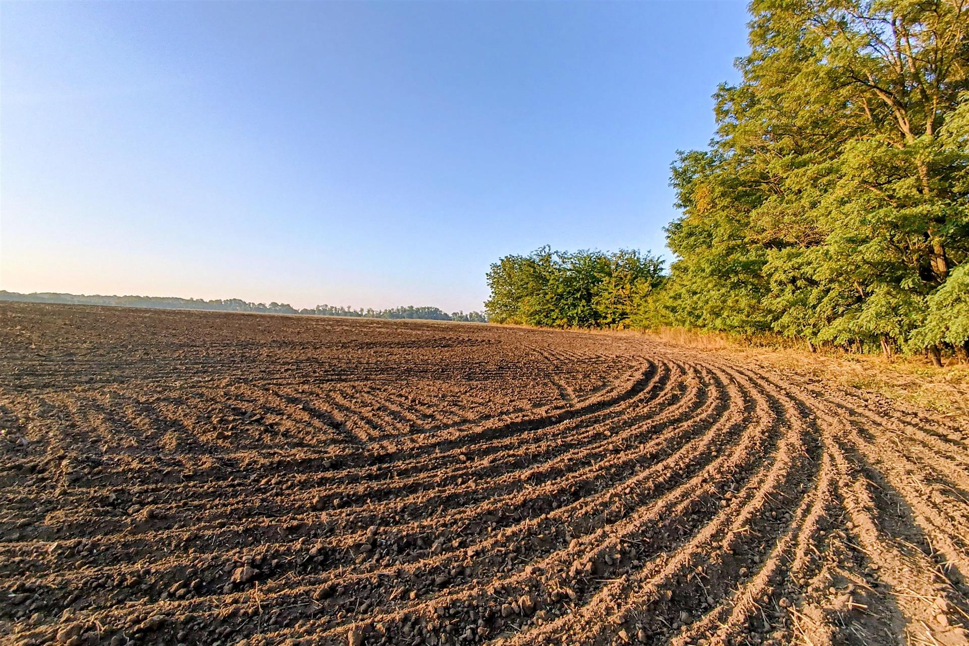 Фото №13: Коммерция 200 м² - Старокорсунская, мкр. Карасунский внутригородской округ, ул. Благодарная