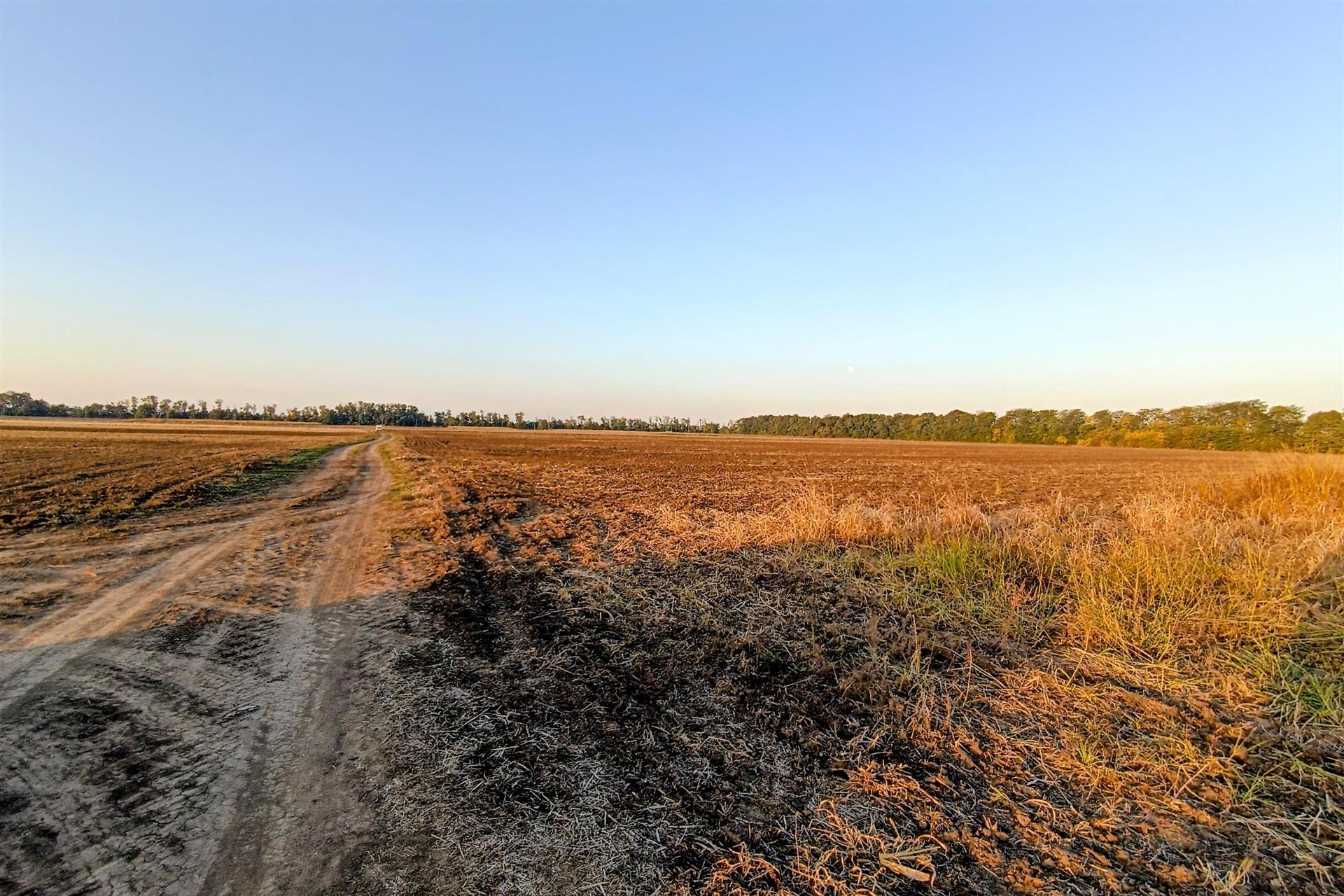Фото №5: Коммерция 200 м² - Старокорсунская, мкр. Карасунский внутригородской округ, ул. Благодарная