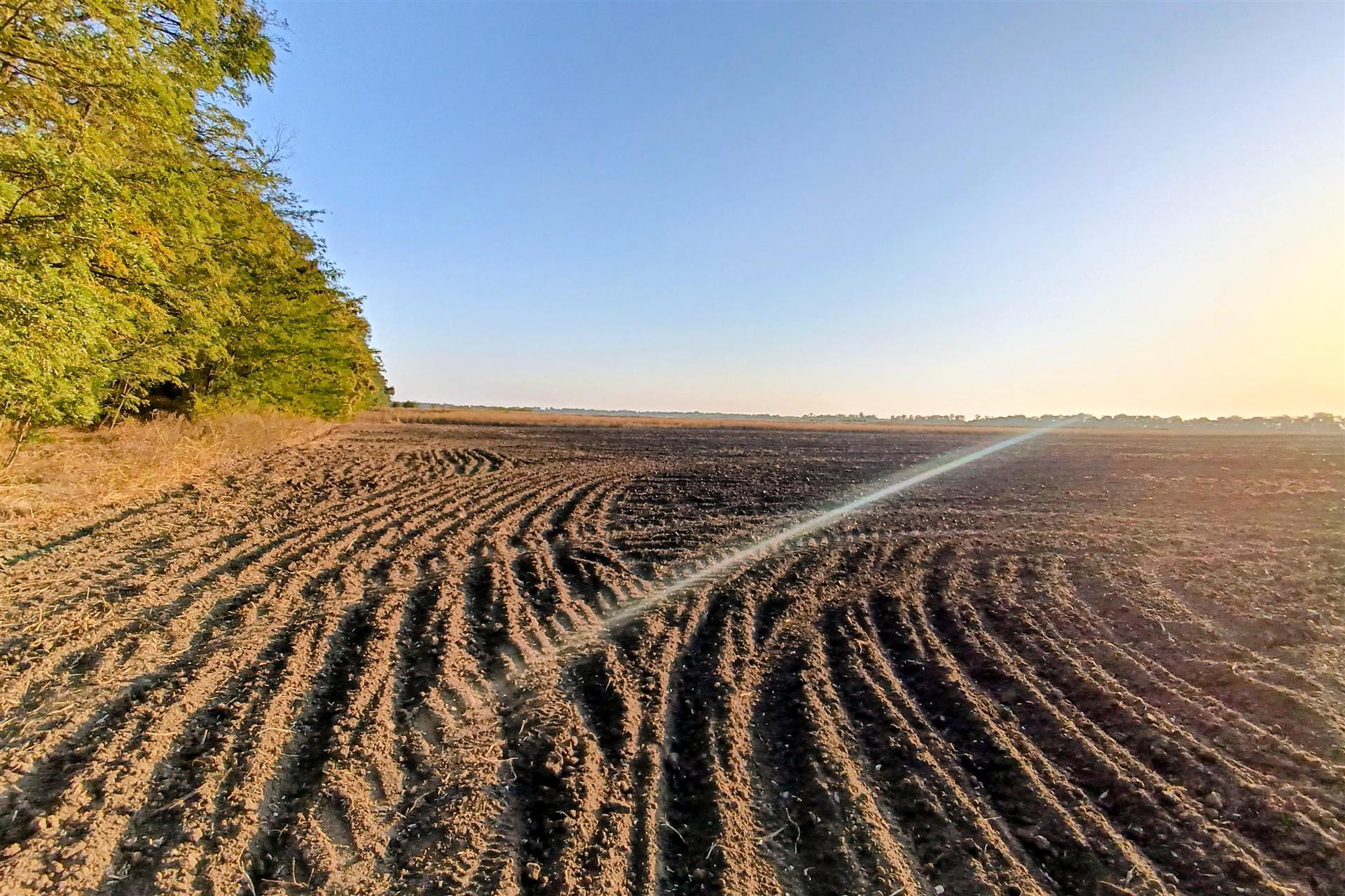 Фото №12: Коммерция 200 м² - Старокорсунская, мкр. Карасунский внутригородской округ, ул. Благодарная
