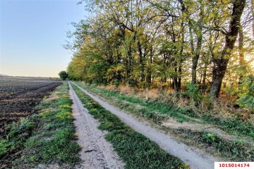 Фото №1: Коммерческая земля 200 сот. - Старокорсунская, мкр. Карасунский внутригородской округ, ул. Благодарная
