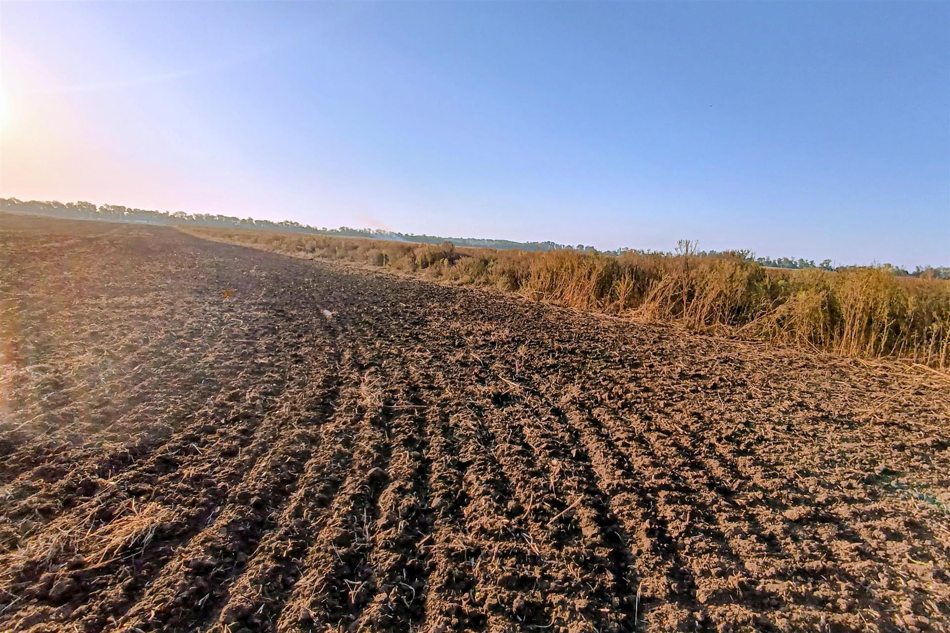 Фото №7: Коммерция 200 м² - Старокорсунская, мкр. Карасунский внутригородской округ, ул. Благодарная