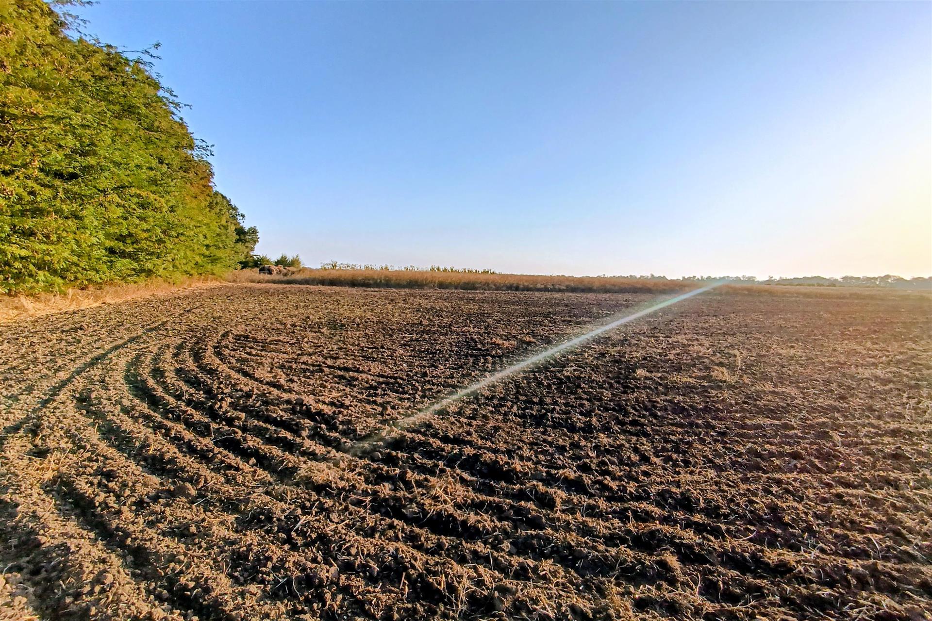 Фото №8: Коммерция 200 м² - Старокорсунская, мкр. Карасунский внутригородской округ, ул. Благодарная