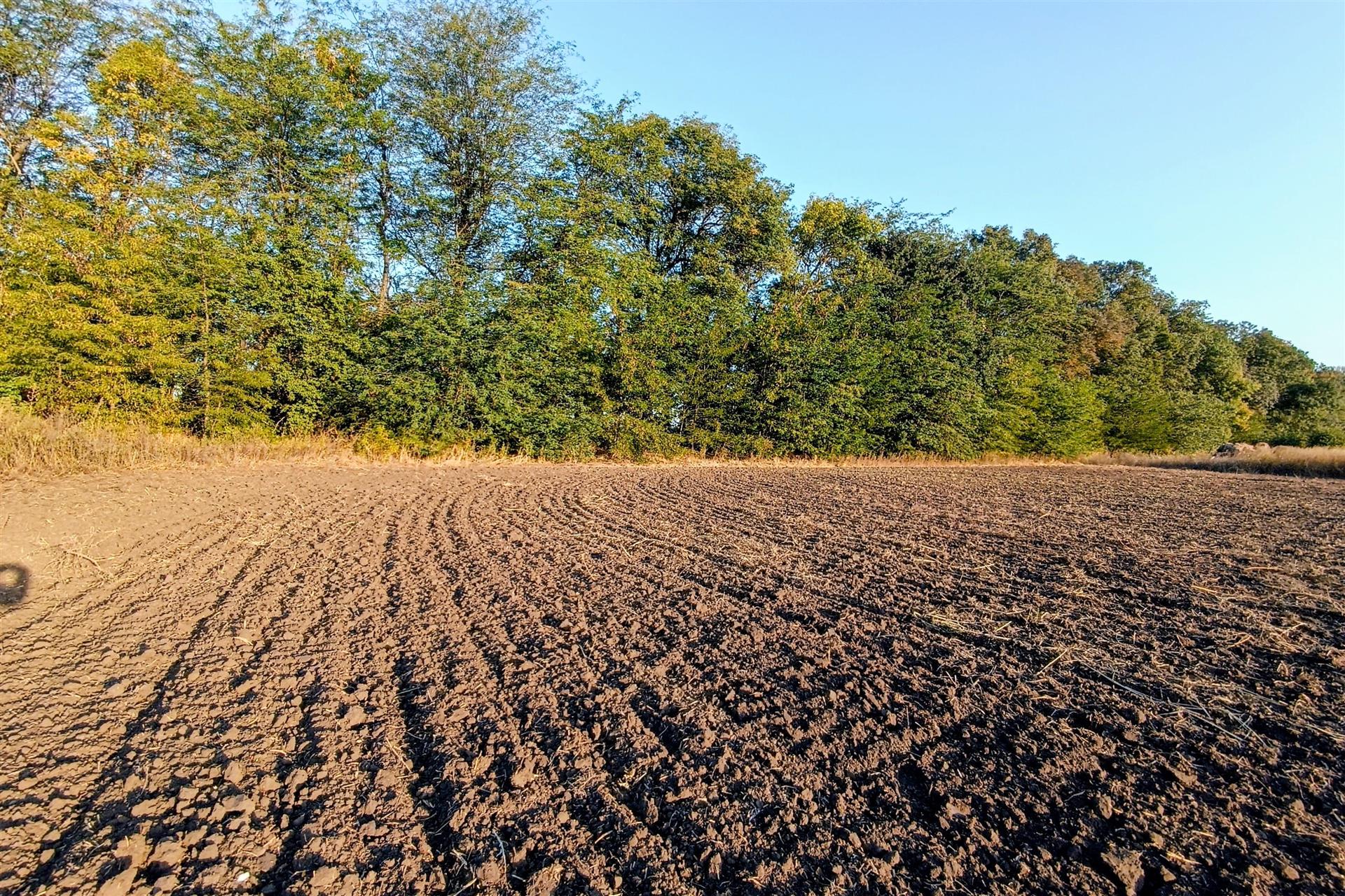 Фото №9: Коммерция 200 м² - Старокорсунская, мкр. Карасунский внутригородской округ, ул. Благодарная