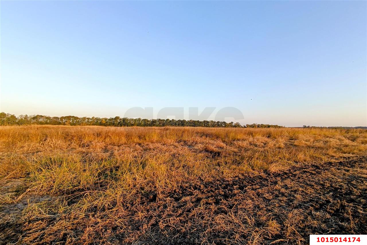 Фото №14: Коммерческая земля 200 сот. - Старокорсунская, Карасунский внутригородской округ, ул. Благодарная