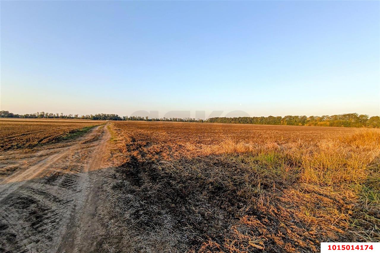 Фото №5: Коммерческая земля 200 сот. - Старокорсунская, Карасунский внутригородской округ, ул. Благодарная