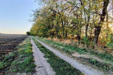 Фото №1: Коммерция 200 м² - Старокорсунская, мкр. Карасунский внутригородской округ, ул. Благодарная