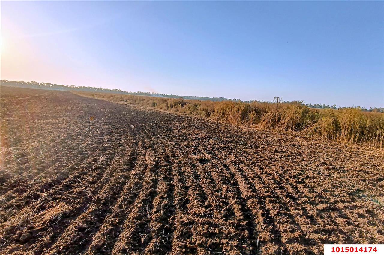 Фото №7: Коммерческая земля 200 сот. - Старокорсунская, Карасунский внутригородской округ, ул. Благодарная