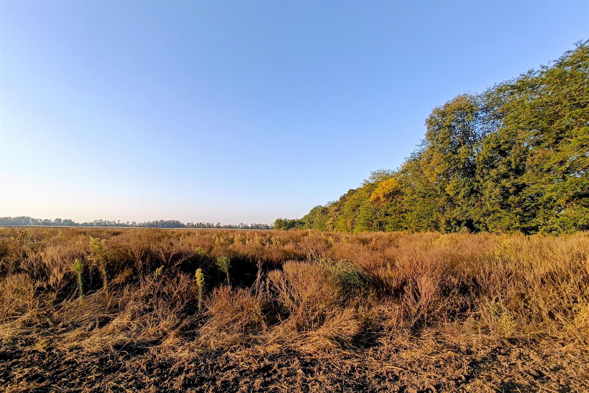 Фото №10: Коммерция 200 м² - Старокорсунская, мкр. Карасунский внутригородской округ, ул. Благодарная