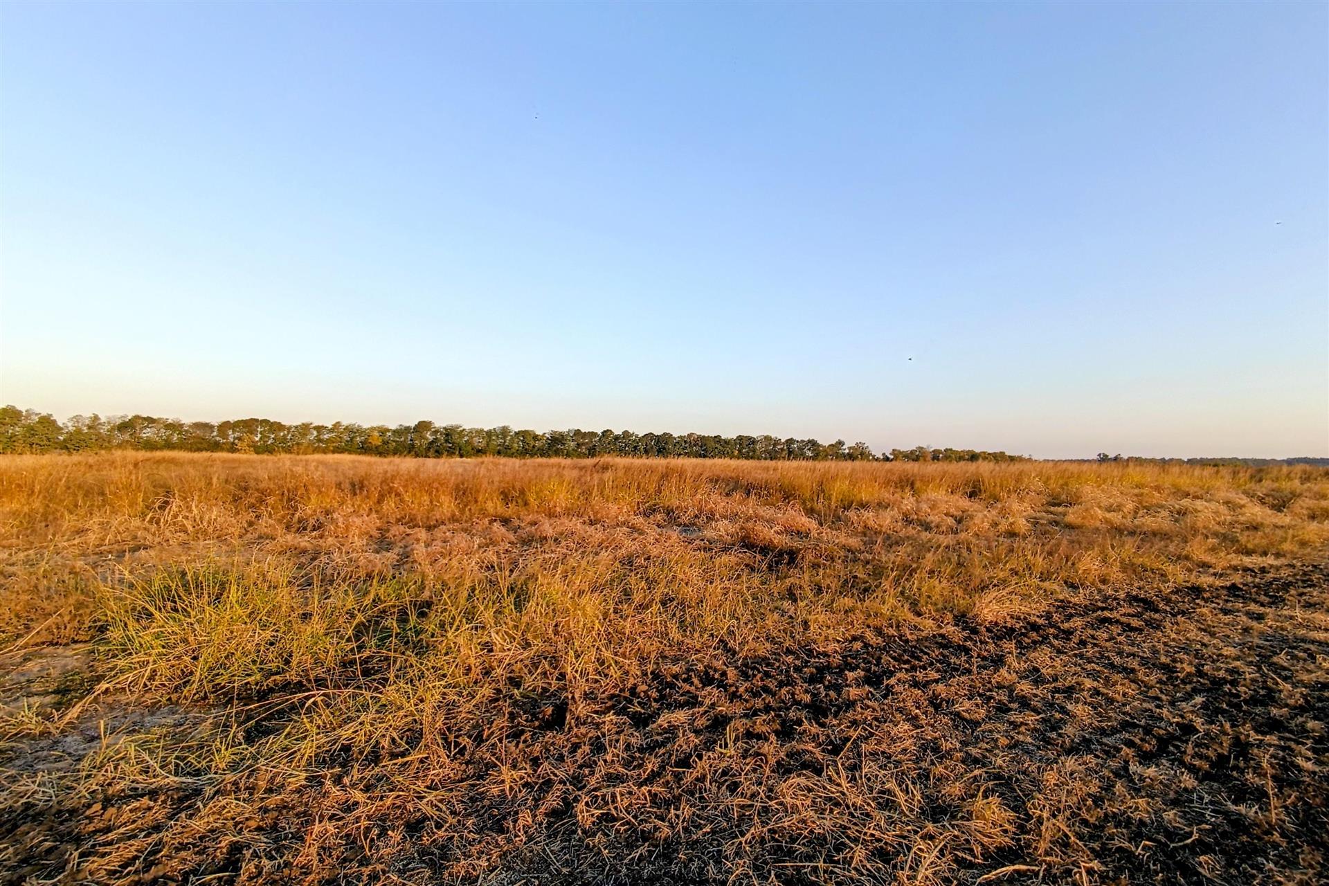 Фото №14: Коммерция 200 м² - Старокорсунская, мкр. Карасунский внутригородской округ, ул. Благодарная