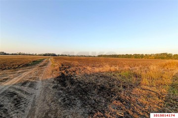 Фото №5: Коммерческая земля 200 сот. - Старокорсунская, мкр. Карасунский внутригородской округ, ул. Благодарная