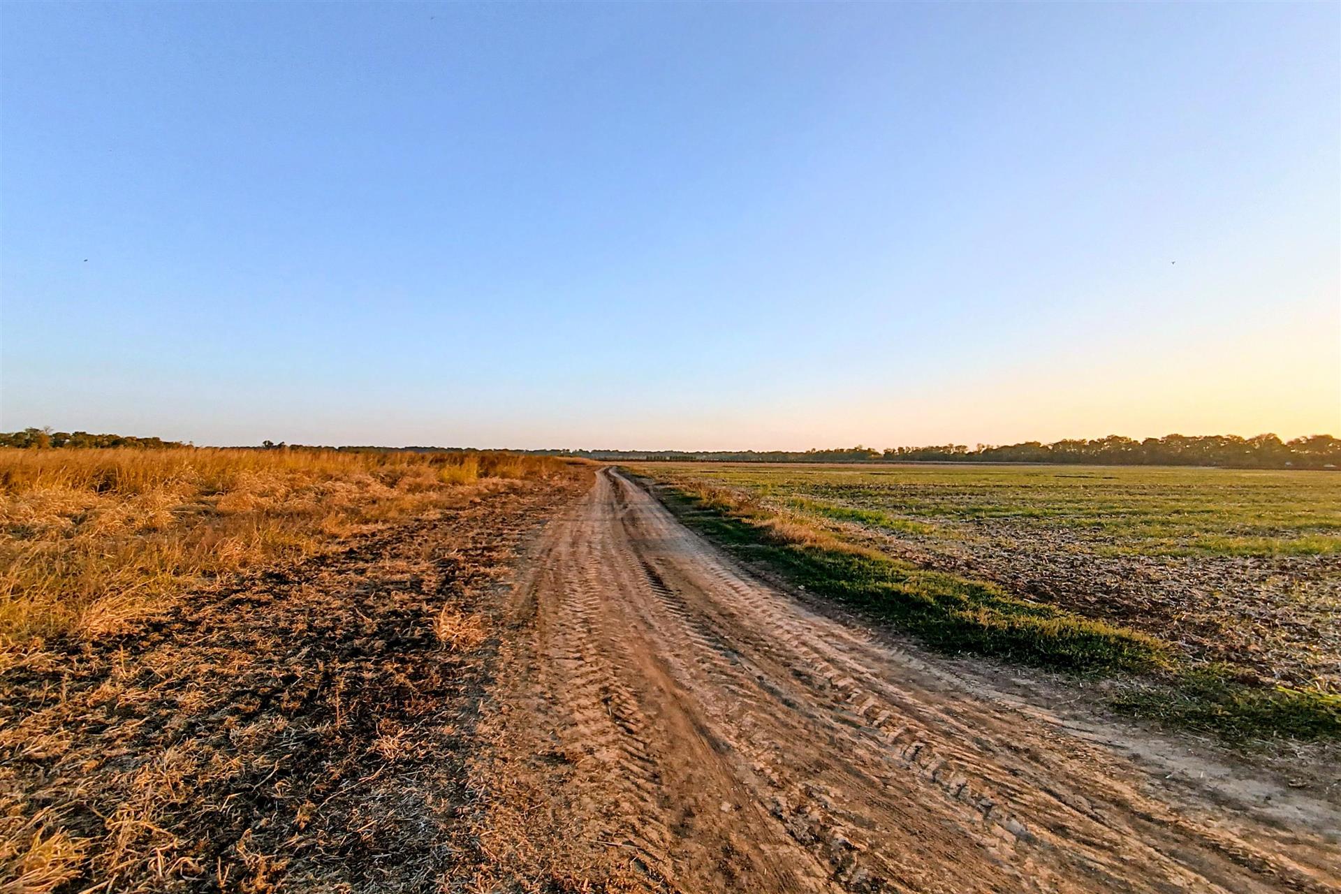 Фото №4: Коммерция 200 м² - Старокорсунская, мкр. Карасунский внутригородской округ, ул. Благодарная
