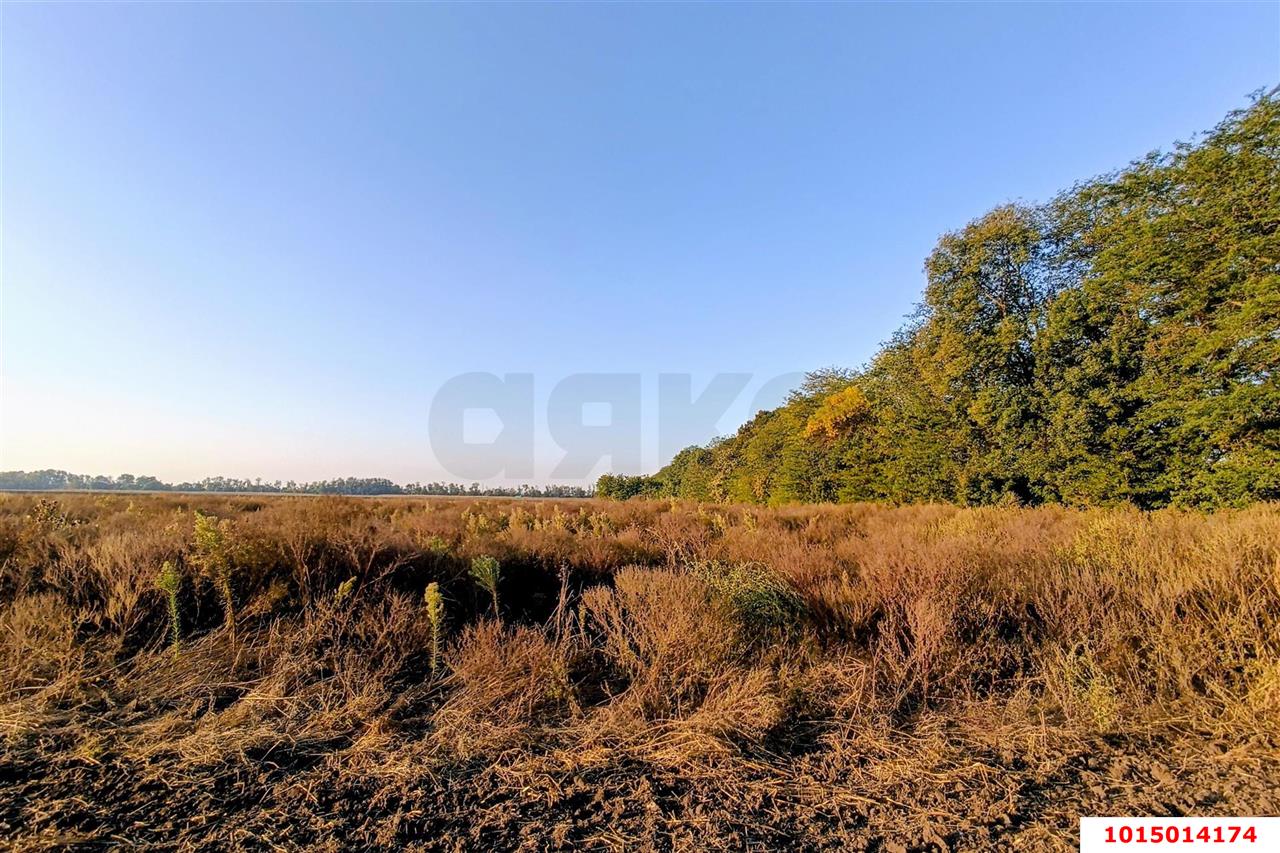 Фото №10: Коммерческая земля 200 сот. - Старокорсунская, Карасунский внутригородской округ, ул. Благодарная