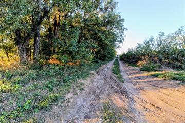 Фото №3: Коммерция 200 м² - Старокорсунская, мкр. Карасунский внутригородской округ, ул. Благодарная