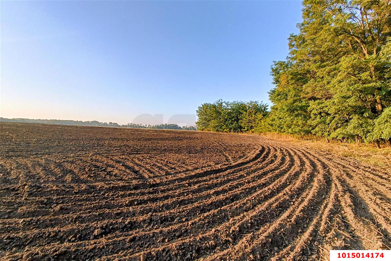 Фото №13: Коммерческая земля 200 сот. - Старокорсунская, Карасунский внутригородской округ, ул. Благодарная