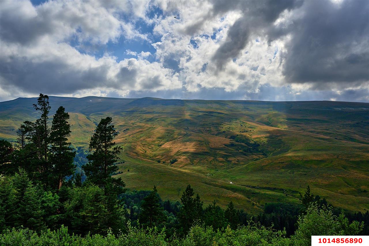 Фото №4: Личное подсобное хозяйство 10 сот. - Республика Адыгея (Адыгея) Майкопский район
