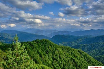 Фото №2: Личное подсобное хозяйство 10 сот. - Республика Адыгея (Адыгея) Майкопский район