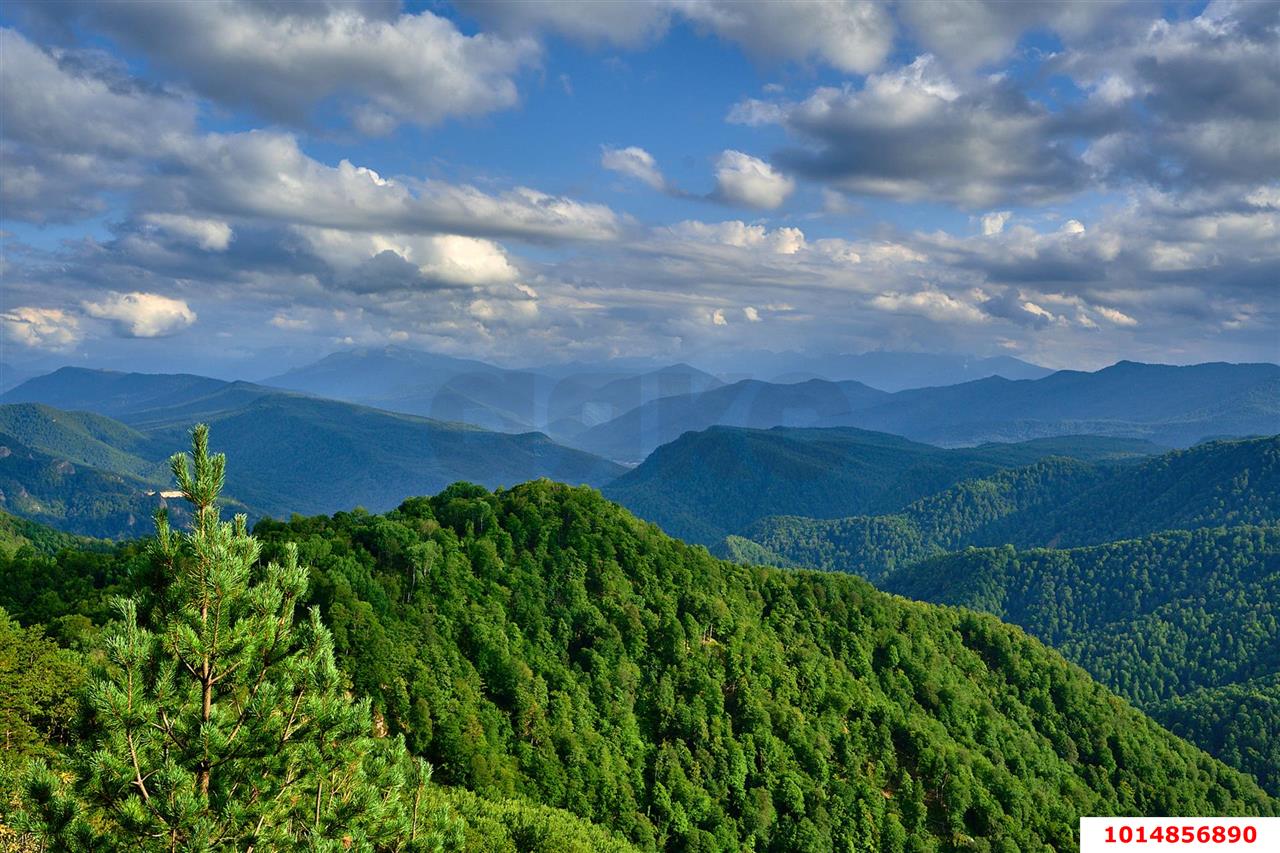 Фото №2: Личное подсобное хозяйство 10 сот. - Республика Адыгея (Адыгея) Майкопский район