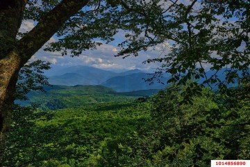 Фото №3: Личное подсобное хозяйство 10 сот. - Республика Адыгея (Адыгея) Майкопский район