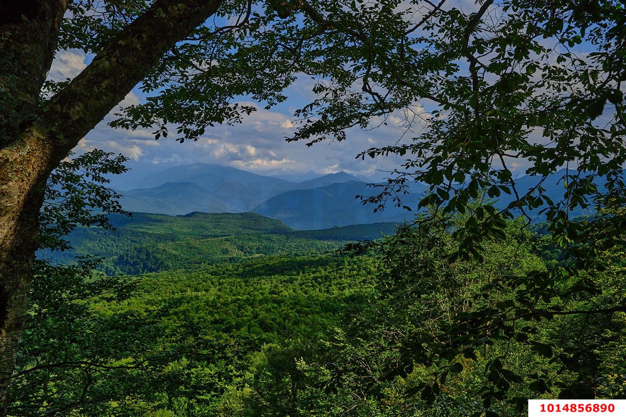 Фото №3: Личное подсобное хозяйство 10 сот. - Республика Адыгея (Адыгея) Майкопский район