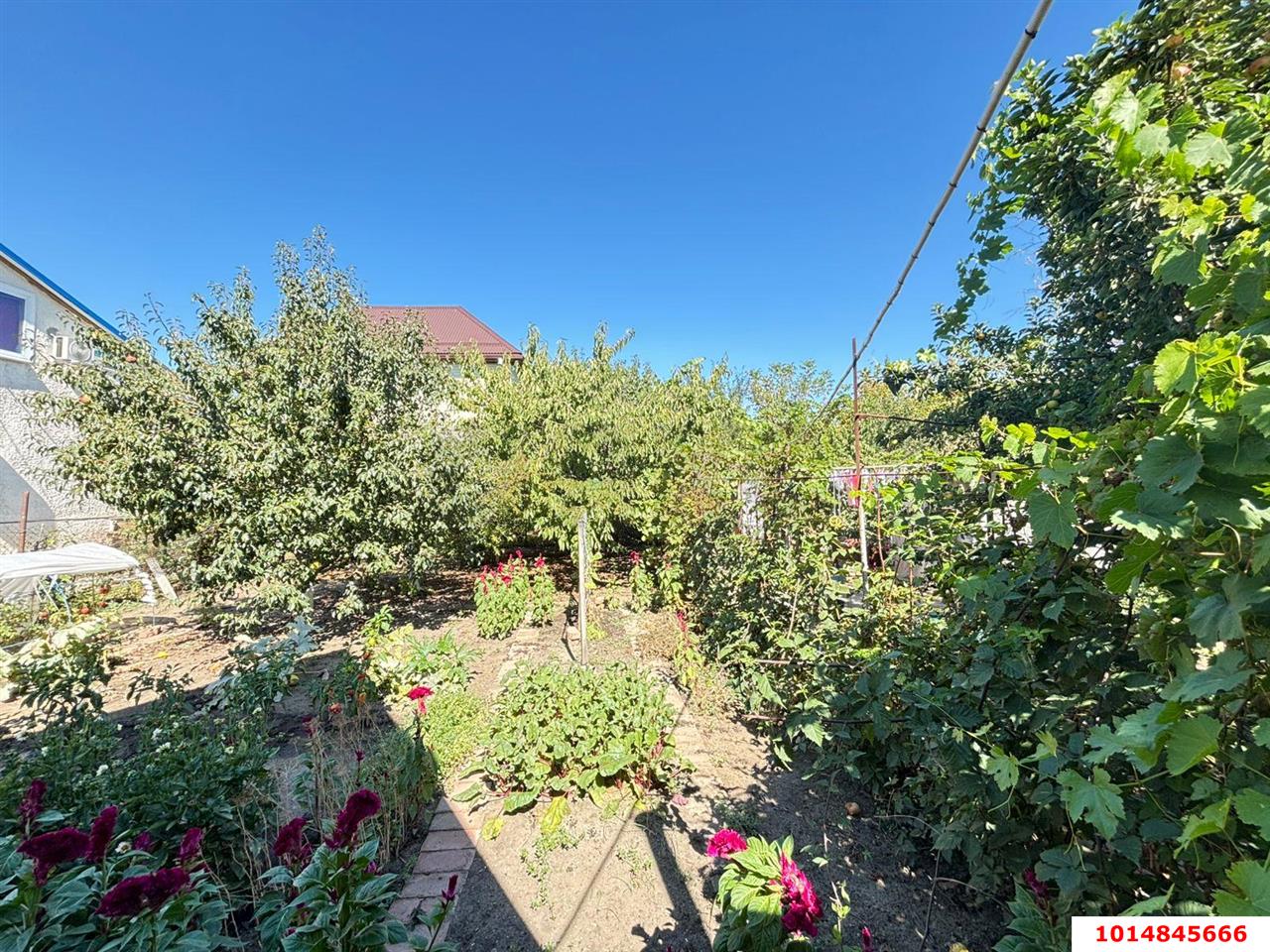 Фото №12: Дом 52 м² + 4 сот. - Елизаветинская, Прикубанский внутригородской округ, ст Росинка, ул. Ореховая, 89/1