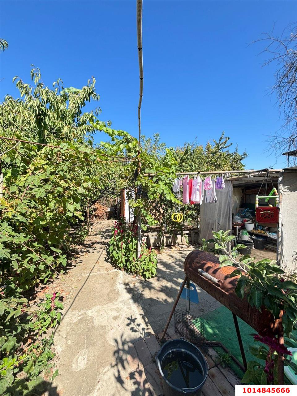 Фото №11: Дом 52 м² + 4 сот. - Елизаветинская, Прикубанский внутригородской округ, ст Росинка, ул. Ореховая, 89/1