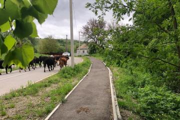 Фото №4: Земельный участок 90 сот. - Ахметовская, ул. Советская