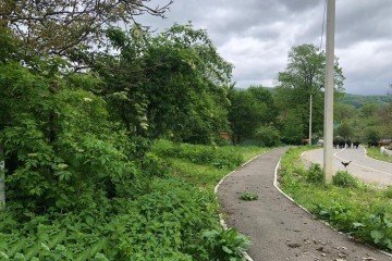 Фото №5: Земельный участок под ИЖС 90 сот. - Ахметовская, ул. Советская
