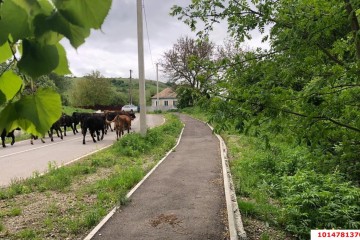 Фото №4: Земельный участок под ИЖС 90 сот. - Ахметовская, ул. Советская