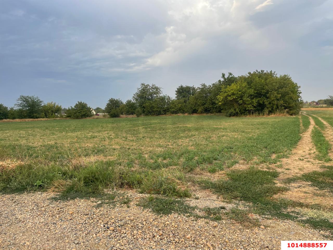 Фото №1: Земельный участок 8 сот. - садовое некоммерческое товарищество Авиатор, мкр. Прикубанский внутригородской округ, ул. Липовая, 214