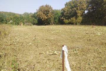 Фото №1: Коммерция 20 м² - Новоалексеевский, ул. Центральная, 10