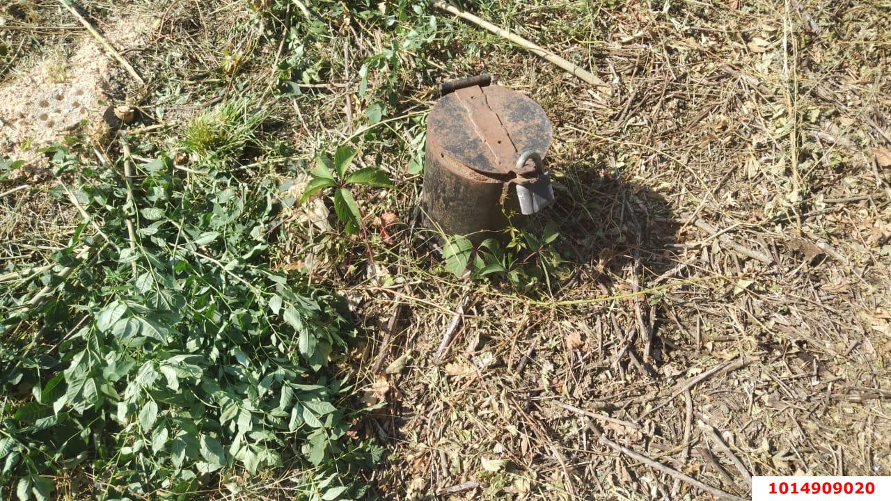 Фото №11: Личное подсобное хозяйство 20 сот. - Новоалексеевский, ул. Центральная, 10