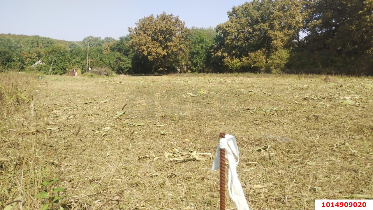 Фото №1: Личное подсобное хозяйство 20 сот. - Новоалексеевский, ул. Центральная, 10